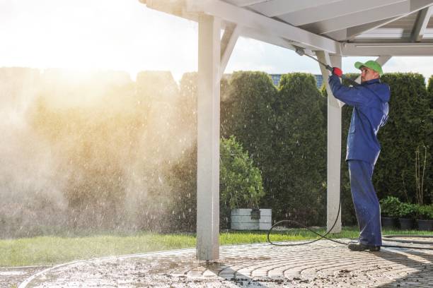 Animal Enclosure Cleaning in Black Hammock, FL