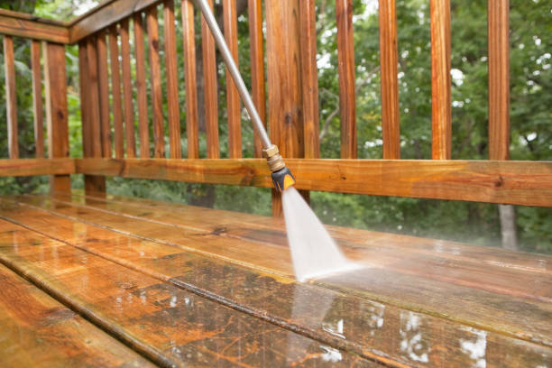 Best Building Exterior Washing  in Black Hammock, FL
